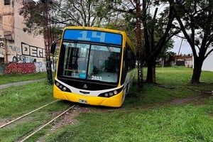 El interno quedó varado sobre las vías del tren. Gentileza @osvaldomedina50