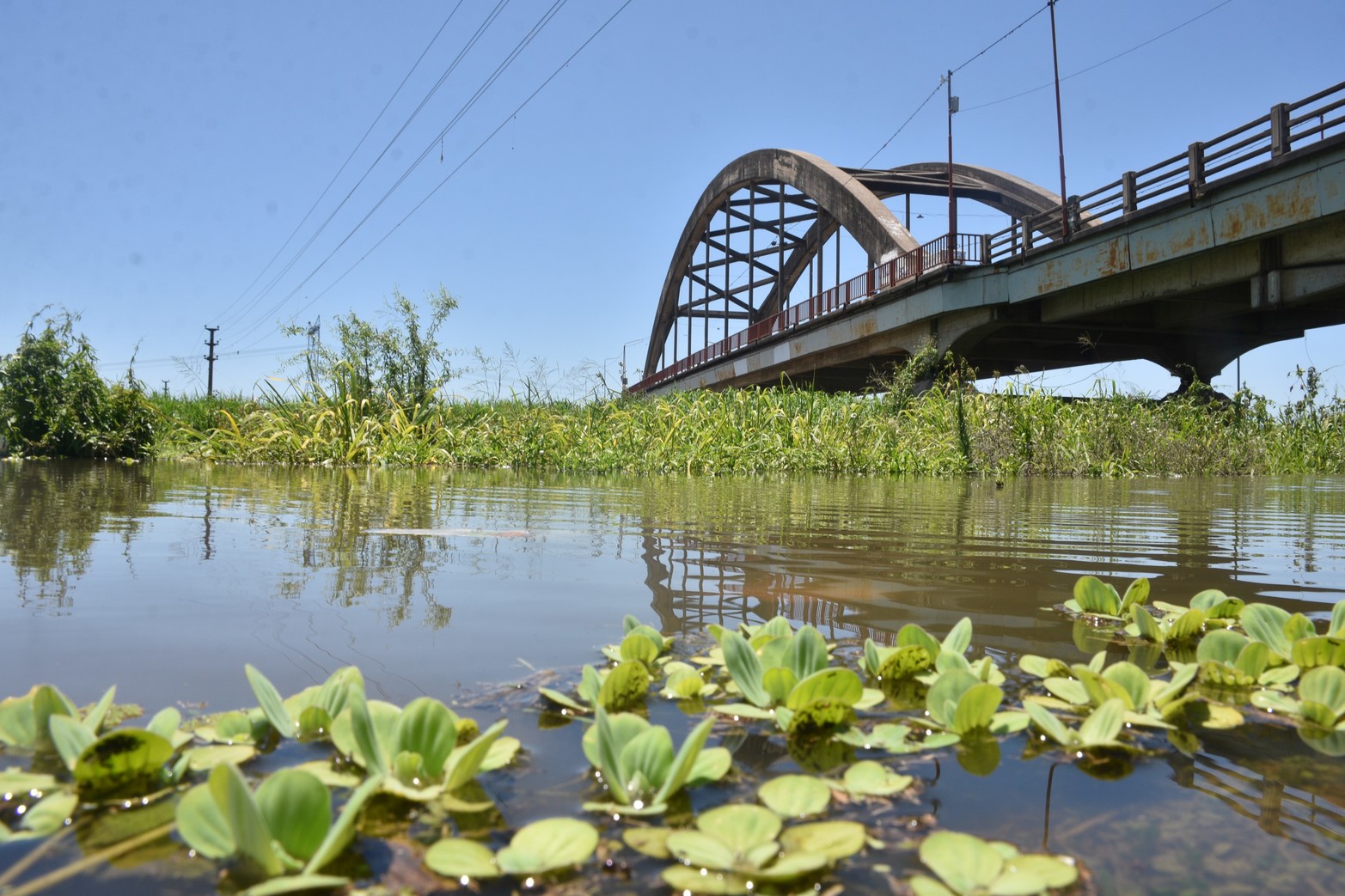 El río Salado en nivel de alerta. La crecida del río Paraná complica la situación. 