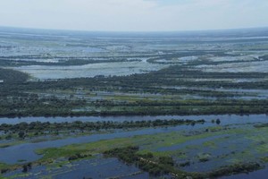 El crecimiento del nivel del río ha provocado inundaciones en islas y áreas productivas. Crédito: Corresponsalía San Javier.