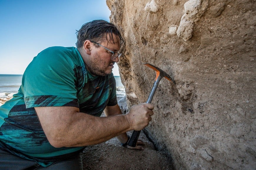 El paleontólogo Matías Taglioretti, de Ciencias Naturales, indicó que "a estos niveles geológicos es difícil encontrar fósiles y aún más difícil es rescatarlos, ya que depende del clima y bajamares". Crédito: Prensa MGP