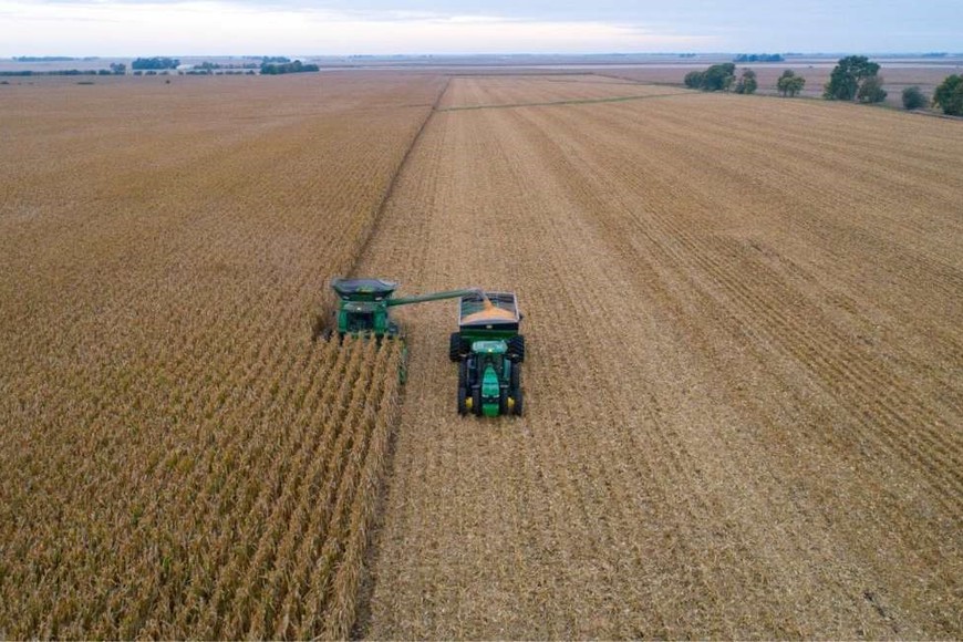 El campo y la agricultura regenerativa se unen para abordar el cambio climático y mejorar la sostenibilidad.