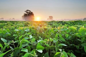 La agricultura regenerativa reduce las emisiones de gases de efecto invernadero.