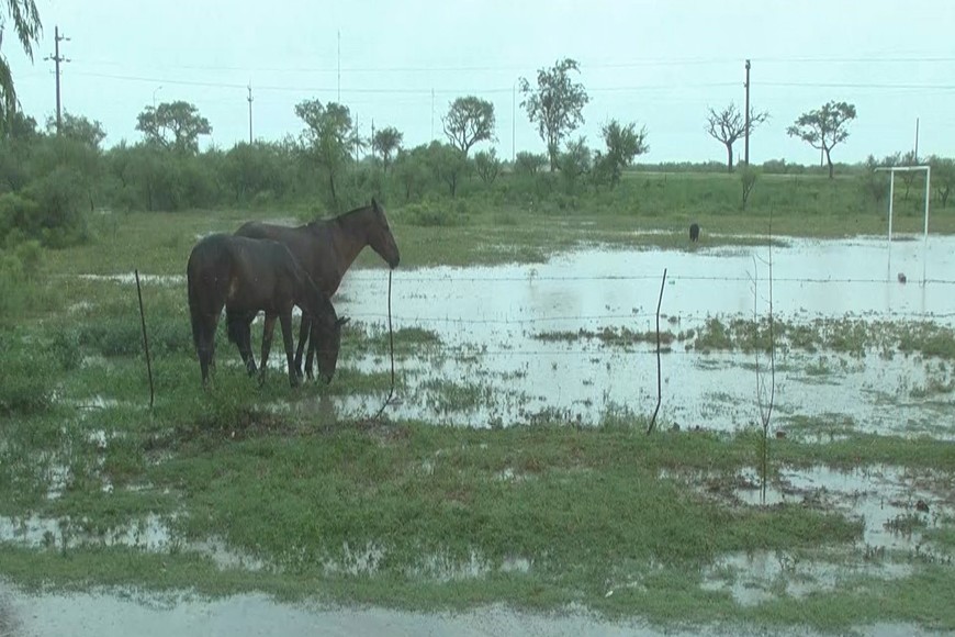Aún en zona urbana, campos llenos de agua por la rápida acción de la lluvia.