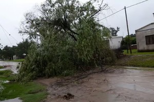 Volvió a llover en el norte santafesino con fuertes ráfagas de viento.