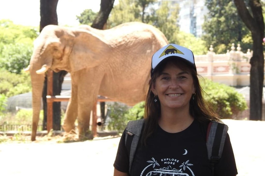 Belén Diez es la única de la ciudad de Santa Fe que integra Elephant´s Helper Argentina. En la foto se ve Kuky, la elefanta que está en el Ecoparque de Buenos Aires. Crédito: Gentileza.