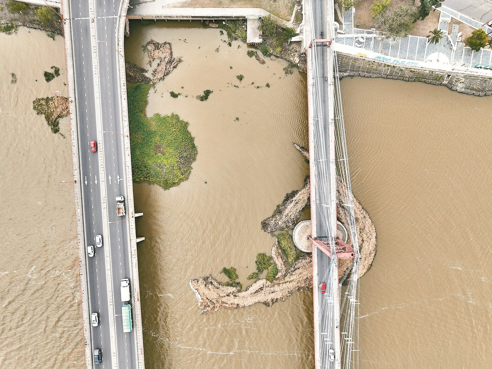 Los embalsados y junquillos se instalan en los pilares del Puente Colgante