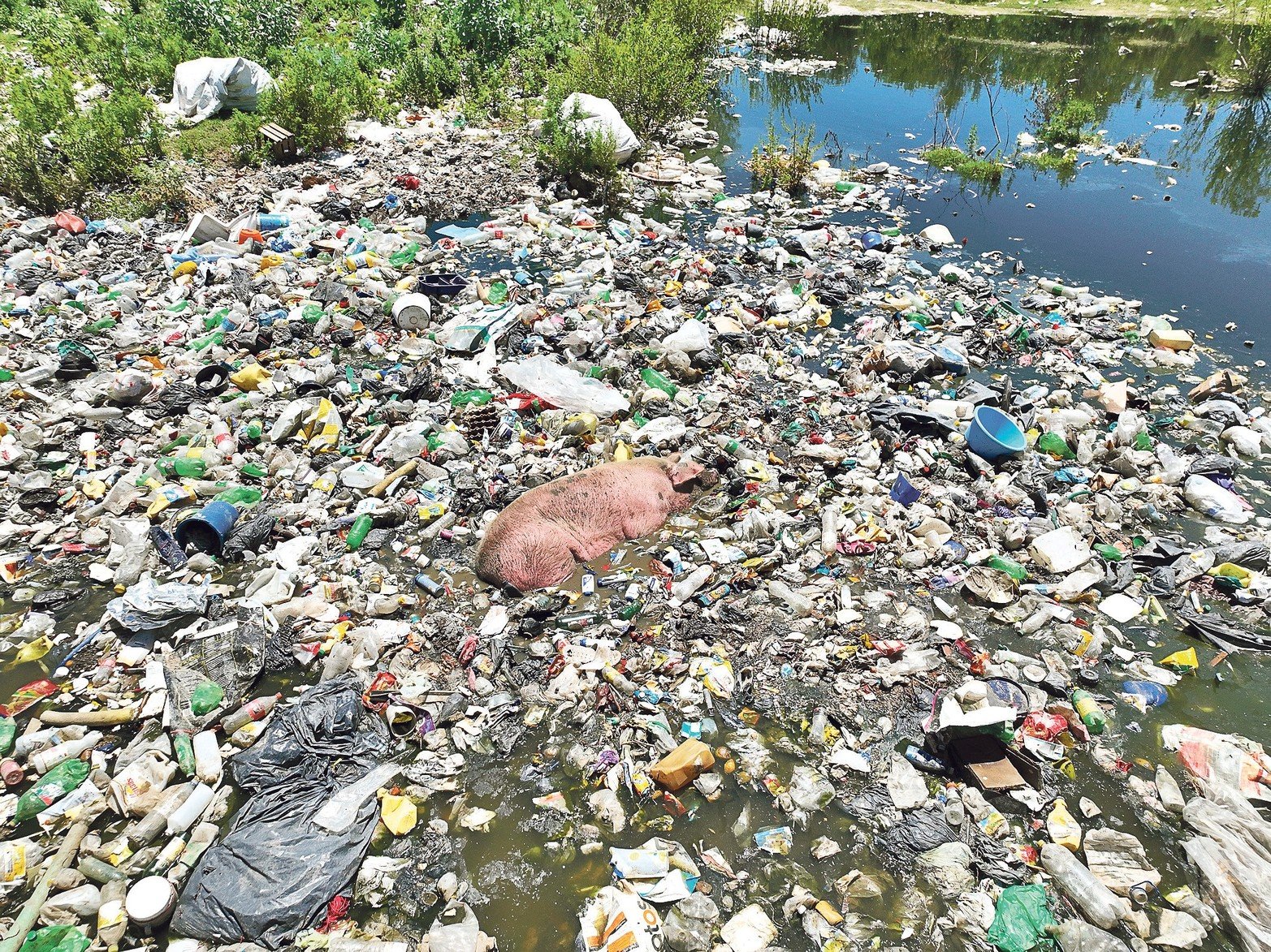 El basural en la laguna Setúbal. La creciente dejó al descubierto el mal manejo de los residuos en Rincón y Arroyo Leyes. Gran cantidad de basura depositada en un bañado comenzó a desplazarse hacia la zona del Puente Colgante.