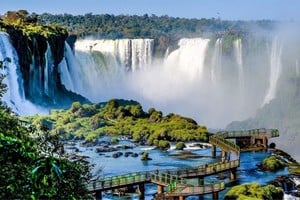 El Parque Nacional Iguazú, que cubre ambas orillas de las cataratas, emerge como un escenario impresionante que brinda experiencias genuinas para aquellos que desean sumergirse en la majestuosidad natural.