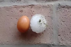 Como huevos: granizo de gran tamaño azotó la zona.