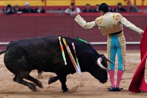 Las corridas de toros volverán a celebrarse en Ciudad de México a partir del 28 de enero.