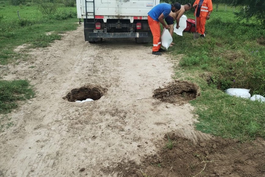 Vialidad está actualmente identificando a los propietarios de los campos cercanos.