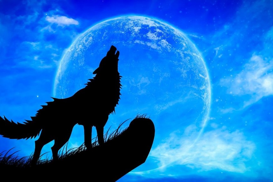 Luna llena, también conocida como la "Luna Llena del Lobo"