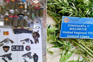 Las armas secuestradas y las plantas de cannabis sativa halladas en Melincué.