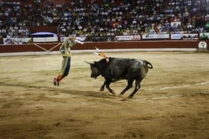 Los ganaderos, empresarios y aficionados mexicanos defienden la importancia económica de las corridas de toros.