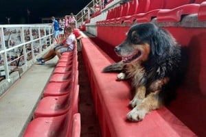 Peluche en las tribunas del estadio 15 de Abril.