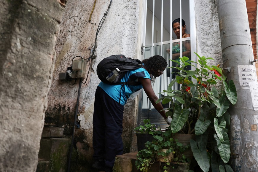 A resident checks a neighbour's flower pots, to avoid standing water, during an action to help mitigate a dengue outbreak, organized by the Municipal Health Department, in the Tabajaras slum in Rio de Janeiro, Brazil February 7, 2024. REUTERS/Pilar Olivares