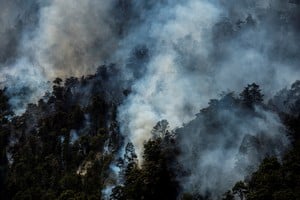 Los policías y brigadistas evaluarán las nuevas condiciones para dar continuidad a las tareas para acabar con el fuego.

