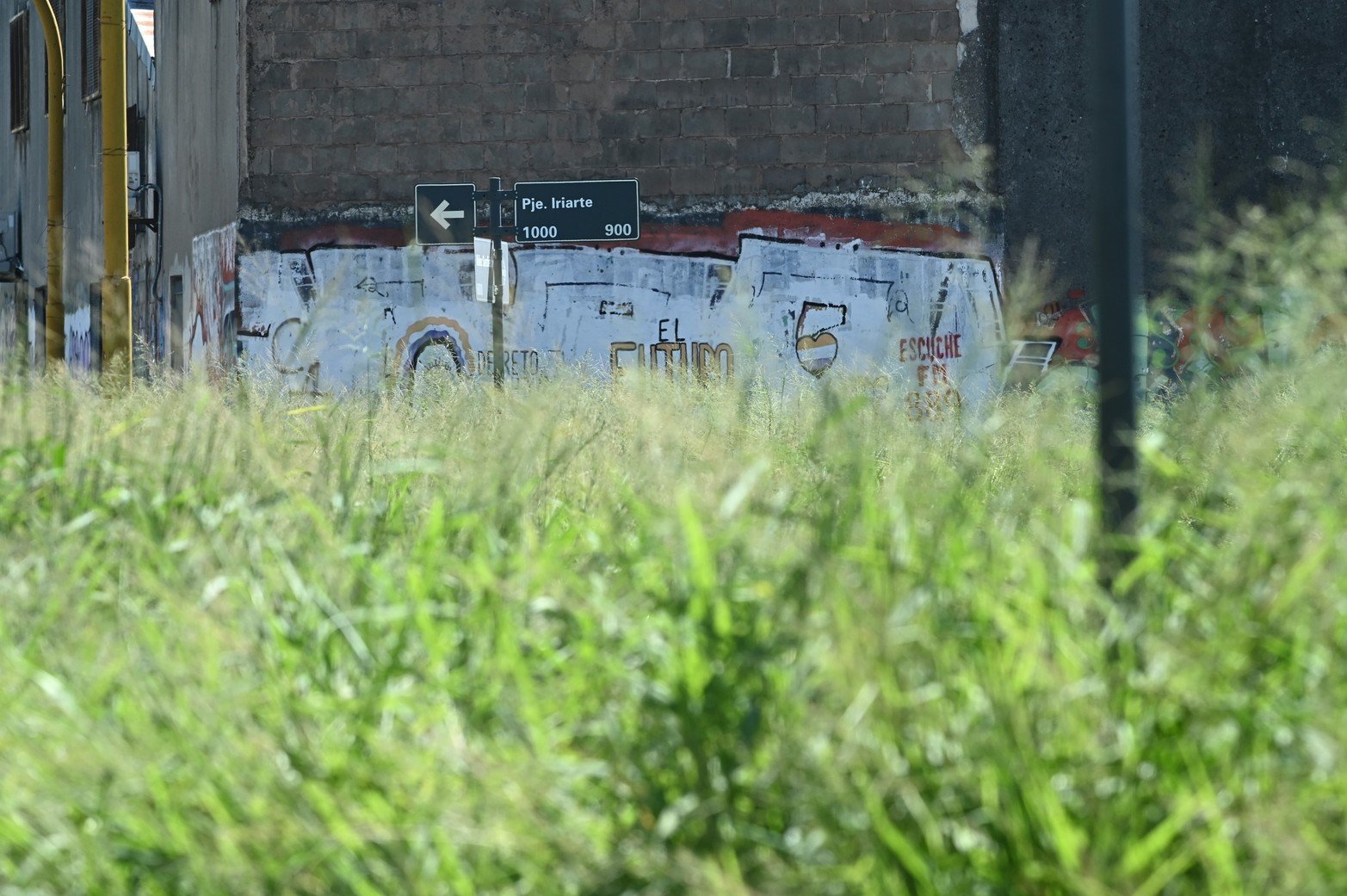 Además de lo que ocurre en el interior de los domicilios, yuyos altos, agua estancada y basura acumulada son causa directa de casos de dengue. Esta situación se da en un barrio de la capital santafesina.