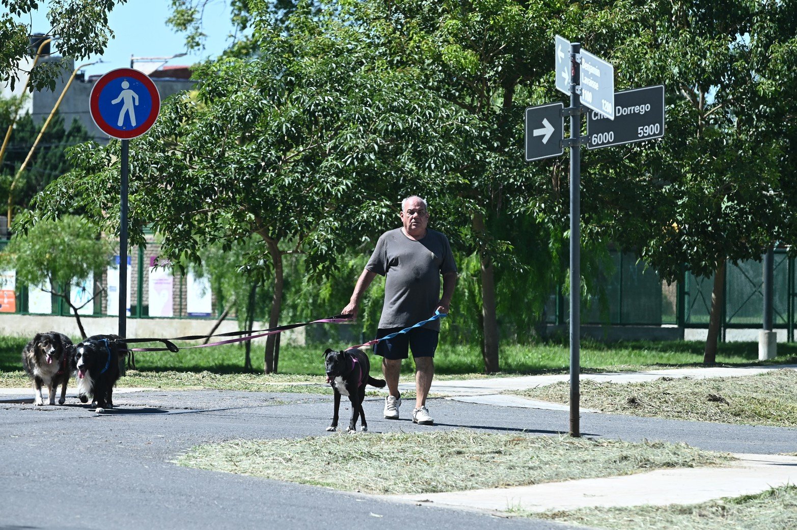 Barrio Guadalupe con casos de dengue
y malezas que superan los dos metros de altura.