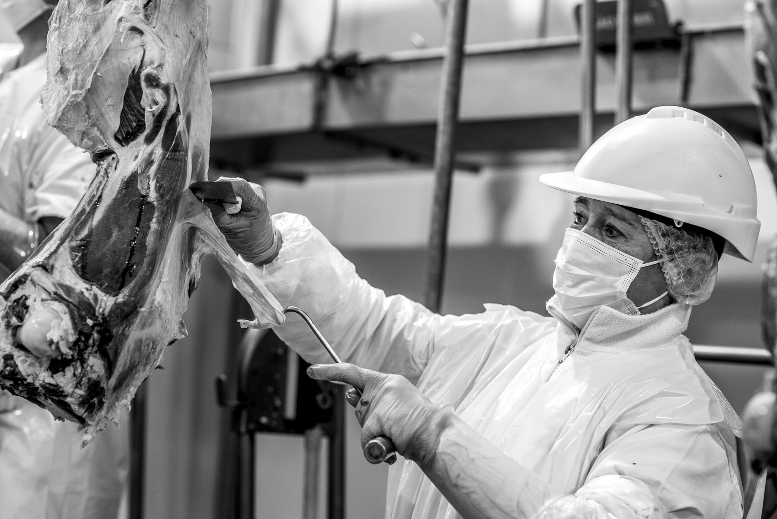 Mujeres en la industria santafesina.