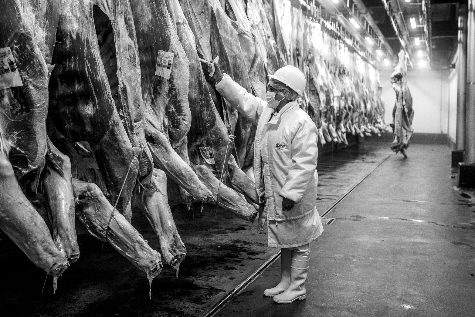 Mujeres en la industria santafesina.