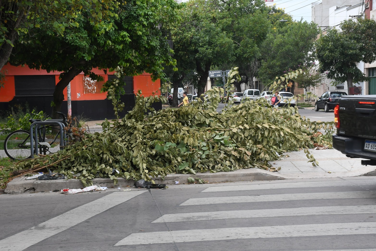 En la zona del retardador pluvial de Avenida Gdor Freyre y Catamarca podaron un árbol y dejaron las ramas en la esquina 