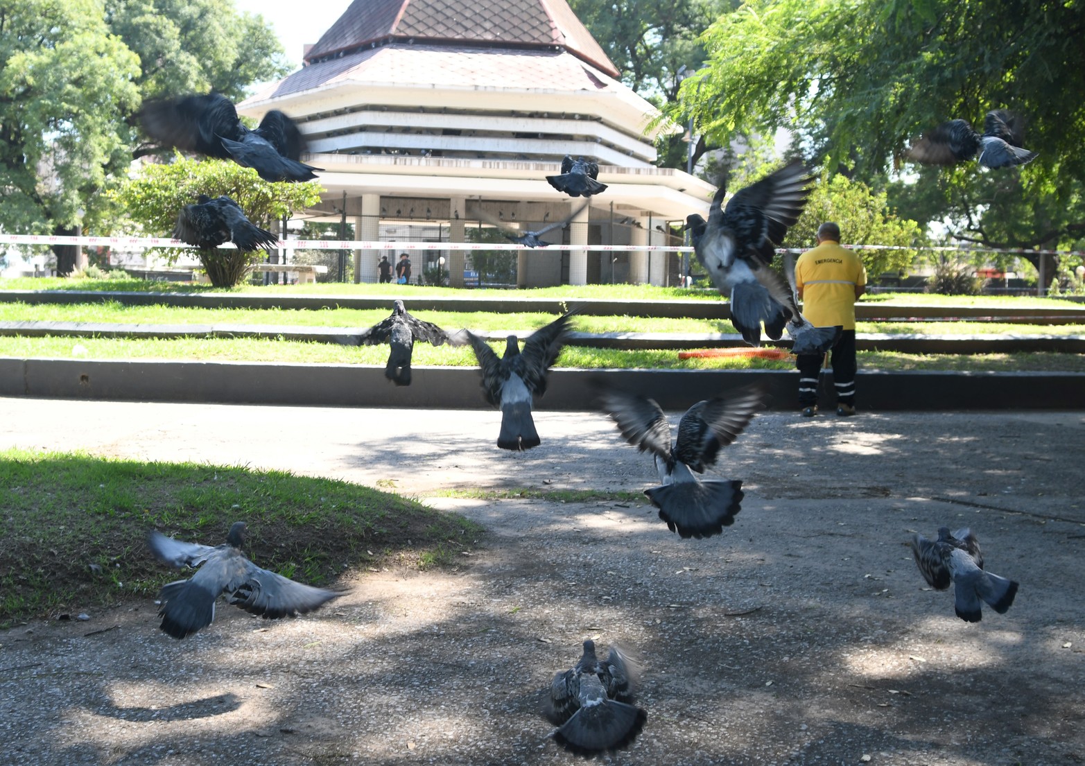 El Palomar clausurado por denuncia de mortandad y desatención de las aves