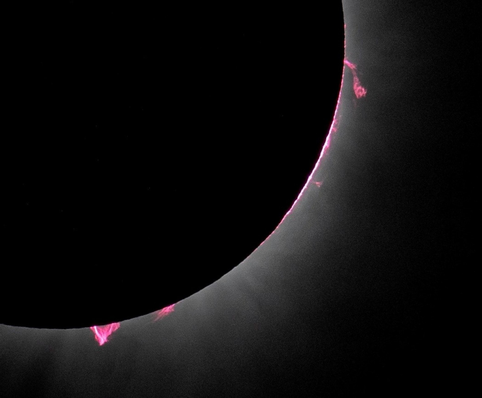 Se ven prominencias solares durante un eclipse solar total en Dallas, Texas.