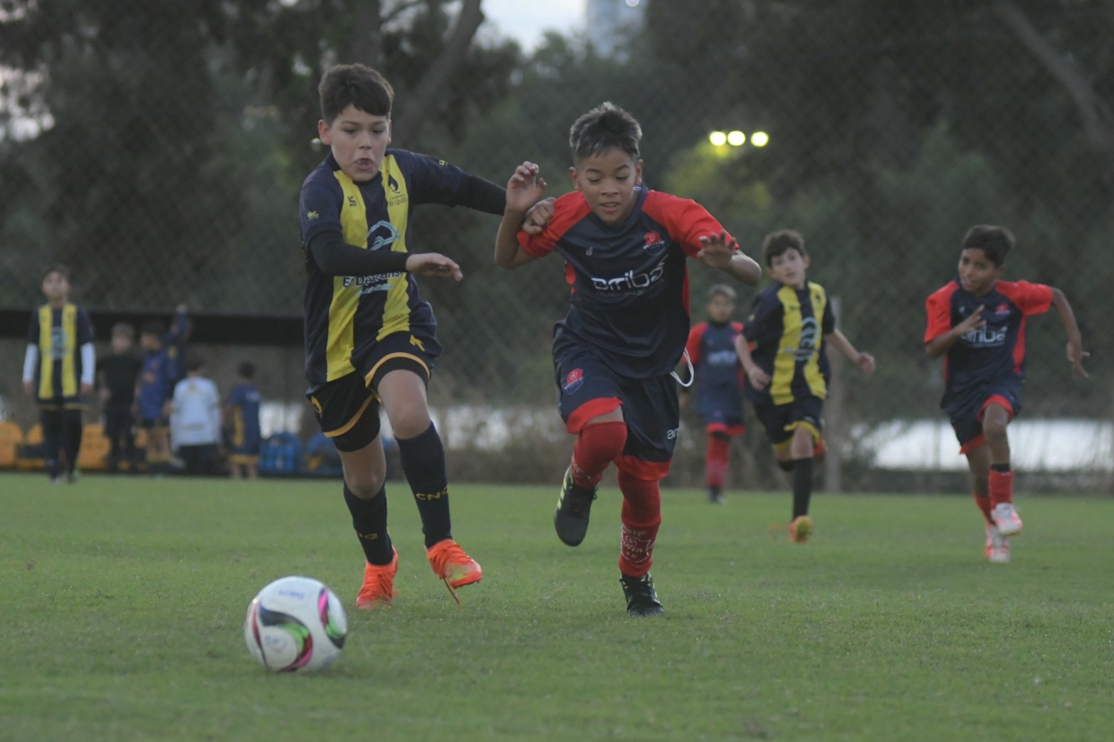 Torneo de fútbol infantil tiburoncito