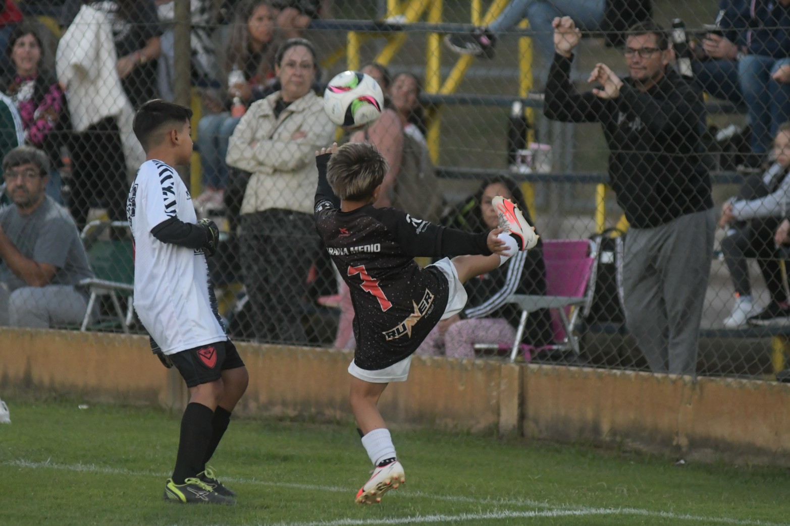 Martes, miércoles y jueves de la semana que viene se juegan las semifinales y finales.