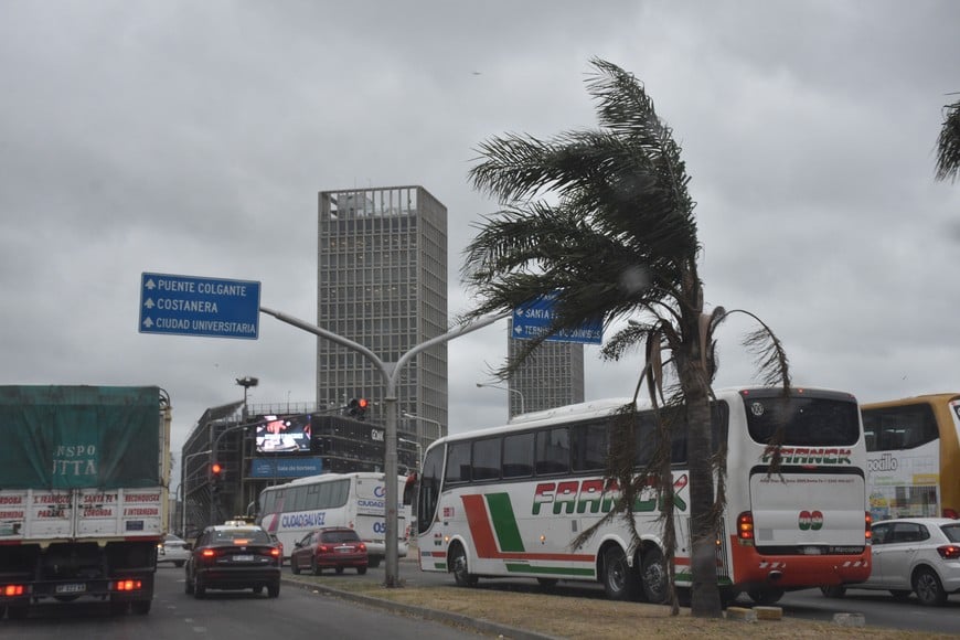 Se esperan vientos del sector sur, con velocidades entre 40 y 60 km/h. Crédito: Flavio Raina