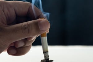 Los investigadores ahora están trabajando para comprender mejor cómo surgen estas diferencias óseas y por qué el consumo de tabaco se convierte en un factor de riesgo para ciertos trastornos musculoesqueléticos y dentales. 