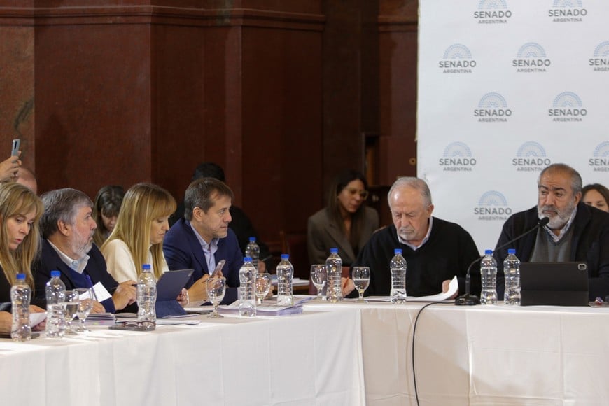 Los dirigentes sindicales Héctor Daer y Hugo Yasky exponen ante el plenario de comisiones de la Cámara de Senadores. Foto NA: DANIEL VIDES