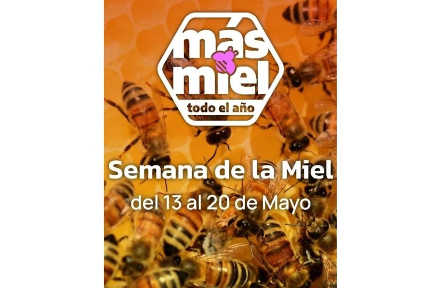 Semana de la Miel, se celebra en todo el país del 13 al 20 de mayo