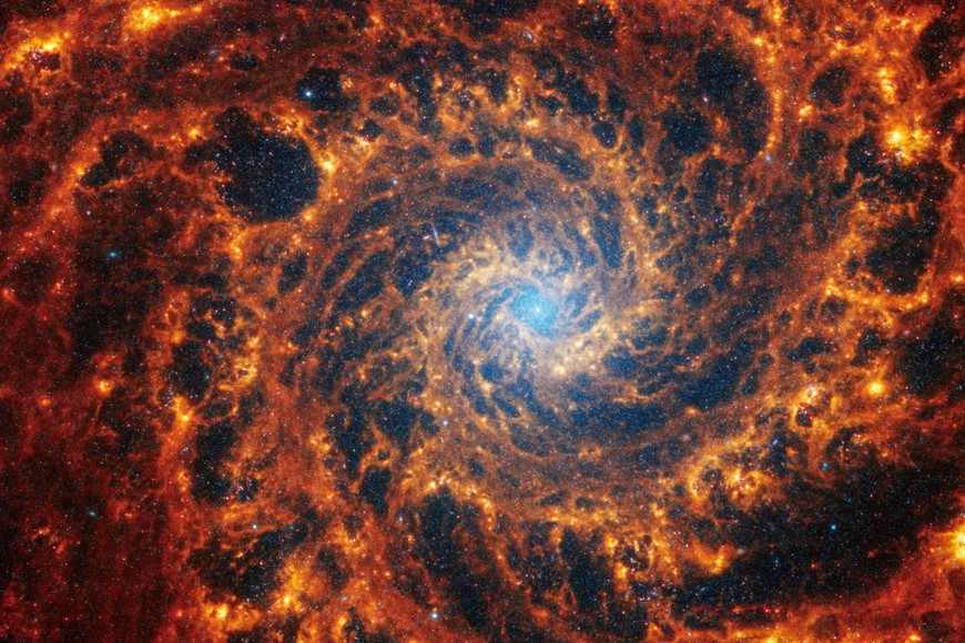 Spiral galaxy NGC 628, located 32 million light-years away from Earth, is seen in an undated image from the James Webb Space Telescope. Webb’s image of NGC 628 shows a densely populated face-on spiral galaxy anchored by its central region, which has a light blue haze that takes up about a quarter of the view.
NASA, ESA, CSA, STScI, Janice Lee (STScI), Thomas Williams (Oxford), and the PHANGS team/Handout via REUTERS  
THIS IMAGE HAS BEEN SUPPLIED BY A THIRD PARTY