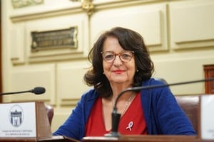 Diputada Verónica Baró Graf
