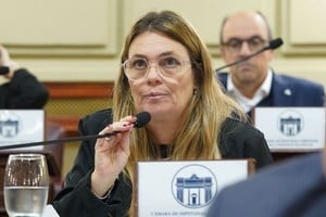 Diputada provincial y presidenta del Bloque de la UCR, Silvana Di Stefano