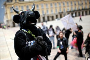 FILE PHOTO: An animal rights activist holds a puppy while taking part in a demonstration demanding the approval of a law that prohibits bullfights, cockfights and events where animals are abused, in Bogota, Colombia, October 5, 2022. REUTERS/Luisa Gonzalez/File Photo