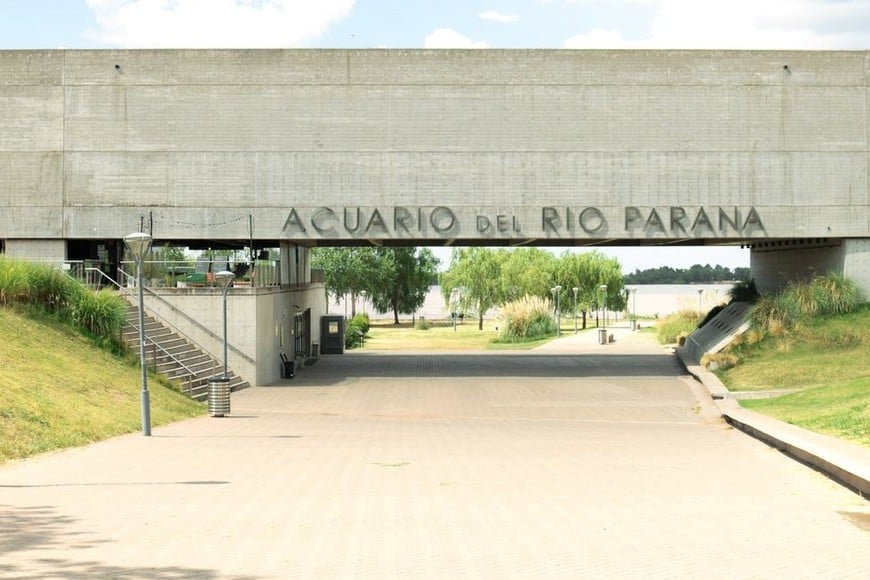 El Acuario del Río Paraná en Rosario recibirá este sábado 1° de junio el VI Encuentro por el Día Mundial de los Peces Migradores. Foto: Gentileza Acuario del Río Paraná