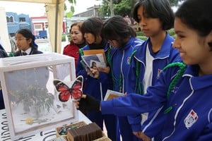 (240604) -- LIMA, 4 junio, 2024 (Xinhua) -- Estudiantes observan mariposas en un mariposario durante la Feria Ambiental "Eco Fest" llevada a cabo en el marco del Día Mundial del Medio Ambiente, en el distrito de Barranco, en Lima, Perú, el 4 de junio de 2024.  El Día Mundial del Medio Ambiente se conmemora anualmente el 5 de junio.  (Xinhua/Mariana Bazo) (mb) (jg) (ra) (ce)