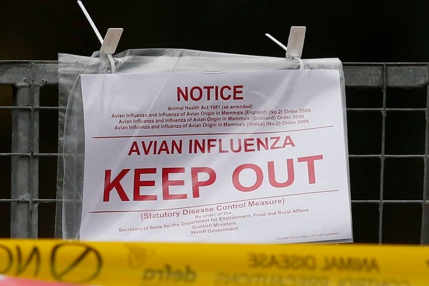 Police tape and warning signs are seen outside a duck farm in Nafferton, northern England November 17, 2014. Bird flu found on a duck farm in northern England might be linked to a highly contagious strain of the disease found this weekend at a poultry farm in the central Netherlands, as well as a case early this month in Germany. In the British case, the virus was discovered at a duck farm in North Yorkshire.   REUTERS/Phil Noble  (REUTERS - Tags: ANIMALS DISASTER ENVIRONMENT TPX IMAGES OF THE DAY) nafferton inglaterra  orden policial gripe aviar cierran granja de patos norte inglaterra