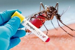 La epidemia de dengue de este año fue cuatro veces más grande que la de 2023, y nueve más grande que la de 2020. Crédito: Archivo El Litoral