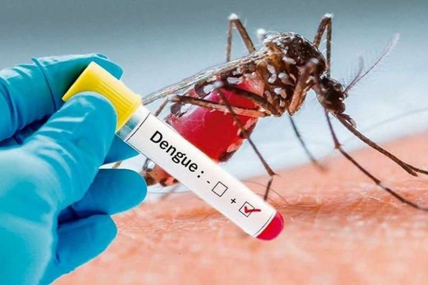 La epidemia de dengue de este año fue cuatro veces más grande que la de 2023, y nueve más grande que la de 2020.