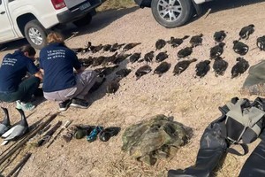 El funcionario de la Unidad Fiscal Reconquista le atribuyó a Roberto Ricardo Lutri los delitos de entrega o dación ilegítima de armas de fuego, en concurso real con infracción a la ley de Conservación de la Fauna en calidad de coautor.