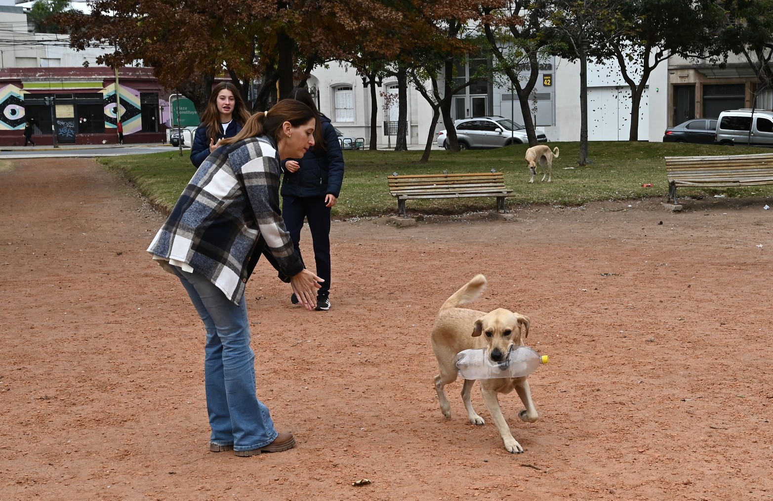 El proyecto ambiental de los estudiantes del Calvario de concientizar sobre la importancia de reciclar el aceite usado tuvo un inconveniente: un perro callejero comenzó a jugar con las botellas de plástico que repartían.