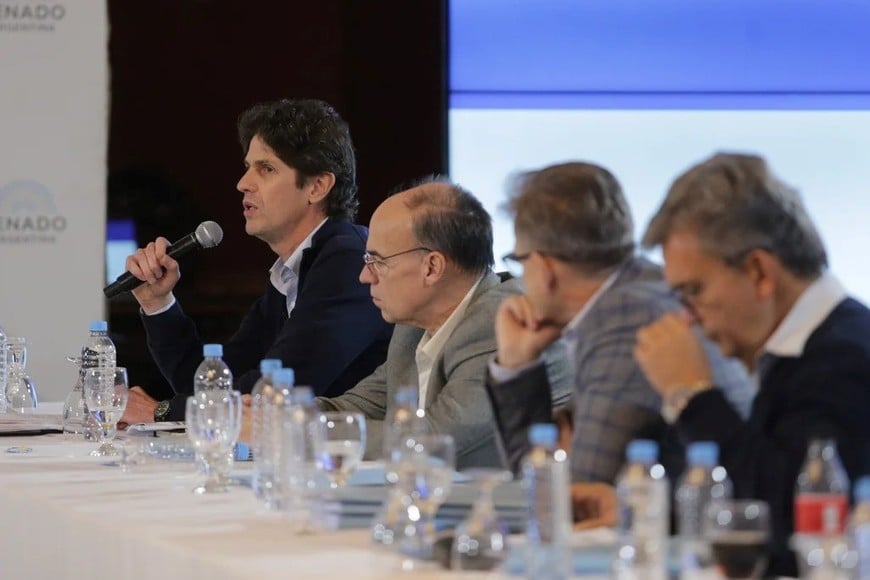 El radical Martín Losteau será uno de los protagonistas de la sesión en el Senado. Presentó dictámenes alternativos a los proyectos oficiales.