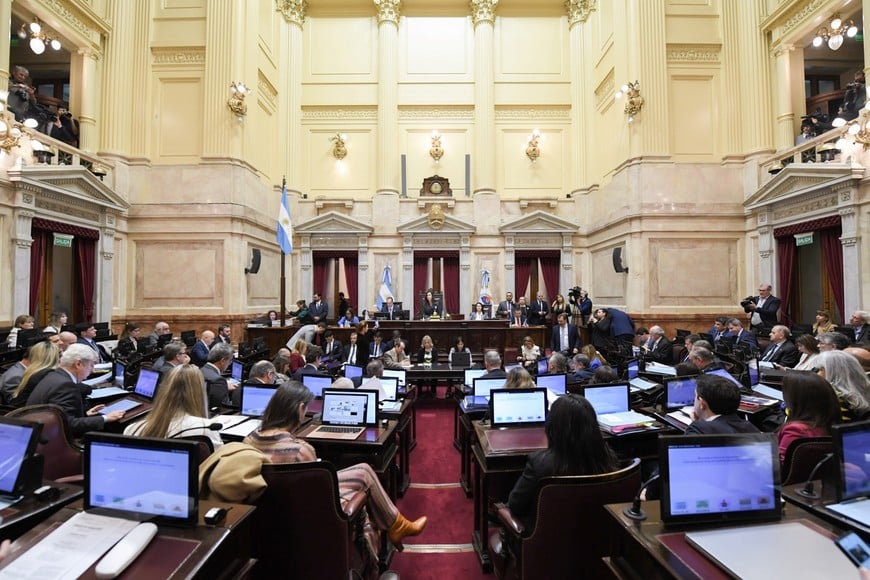 El Senado de la Nación este miércoles por la mañana. Crédito: NA