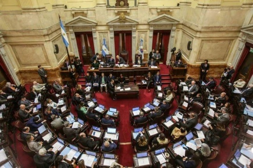 Aspecto de la sesión especial en el Senado de la Nación.