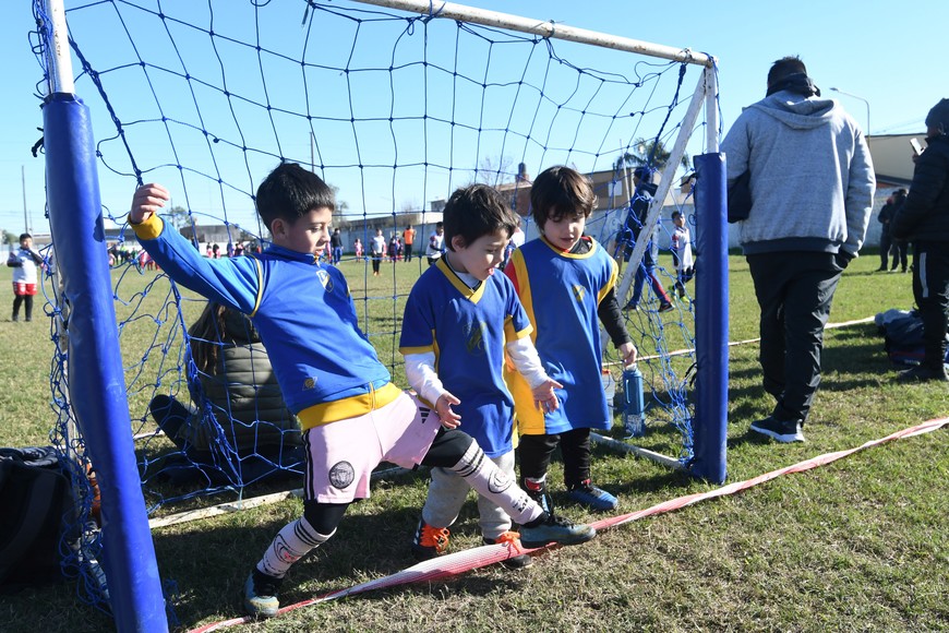 Las fotos del encuentro de  escuelitas de fútbol