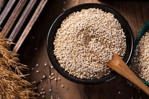 "La quinoa se distingue por su alto contenido de proteínas, carbohidratos complejos y grasas saludables.